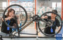 importare dalla cina